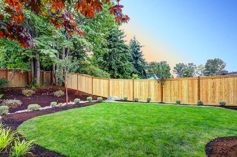 backyard with privacy fence and landscaping